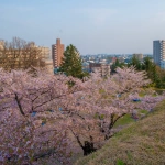 2010-05-05-17-03-30盛岡城跡公園の高台と桜