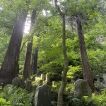 2022-06-25 14;29 山寺 宝珠山 立石寺 木漏れ日