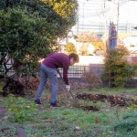 2024-12-08-15;09;41 花の家 物置横・東京街道側で農具のフォークで雑草を取るCOTA