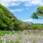 2015-05-04-13;030021三崎口 小網代の森