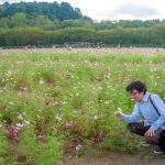 2013-10-06-14-36-35高麗 巾着田の秋桜畑で花に触れるCOTA