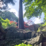 2022-06-25 14;54 山寺 宝珠山 立石寺 階段を登る