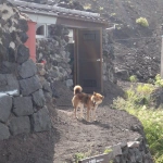 2013-08-17 02-52-00富士山 犬