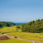 2012-08-18-14-54-50 男鹿半島 寒風山からの田んぼ