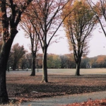 2003-12-06 東京都小金井公園 紅葉の景色と広場