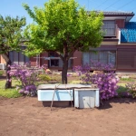 2017-05-05 14;06 花の家 花と母屋と庭の水溜用のバスタブ