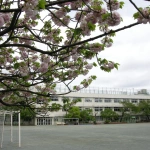 2007-04-22 12-18-16小学校に投票へ