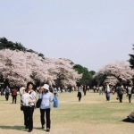 2005-04-09 新宿御苑 桜の花見をする人々