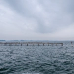 2012-08-12-13-33-31松島港 東日本大震災後、海苔の養殖が再開していた