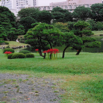 2006-09-30 浜離宮庭園の彼岸花