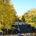 2004-11-21 12;43;40 山下公園付近の道