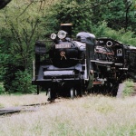 2007-10-01 小金井公園 蒸気機関車 C57-186