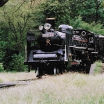 2007-10-01 小金井公園 蒸気機関車 C57-186