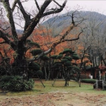 2004-11-01 箱根 富士屋ホテル 紅葉と山