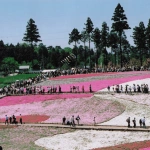 2007-05-03 秩父 羊山公園 芝桜と人々