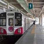 2018-06-09 10;05 新豊橋 豊橋鉄道の車両