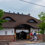 2017-06-11 15;52 貴志駅 たま駅長モチーフの駅舎