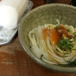 2014-07-19-12-16-35まんのう町 小縣家のうどん