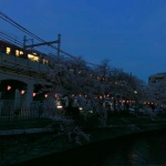 2018-04-01 18;10 大岡川桜まつりと京急の電車