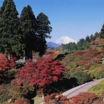 2001-11-21 箱根の紅葉した庭園と富士山