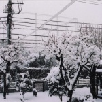 2012-02-20 花の家 物置付近・裏庭に積もった雪