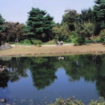 2008-10-18 昭和記念公園 ベンチに座る人と池