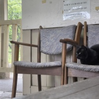 2022-05-15 17;22 高滝駅 待合室の椅子に座る黒猫