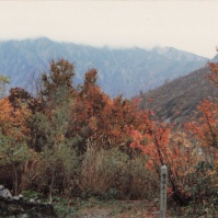 1982-11-01 新潟県魚沼市 奥只見 紅葉の映える山々と、世界平和の言葉を盾に自称団体ではないと主張する動物が残したゴミ