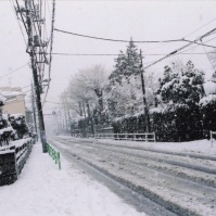 2012-02-20 花の家 東京街道の積雪