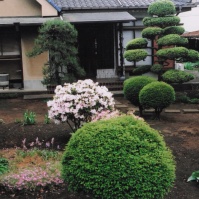 2011-07-03 花の家 玄関前のアザレアやツツジ