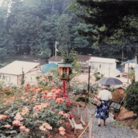 1982-06-01 山形県南陽市 双松公園のバラと坂を下るおばあちゃん