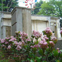 2004-05-03 14;06;44 横浜・港の見える丘公園 旧フランス領事館