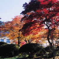 2001-11-21 箱根 山のホテルの紅葉