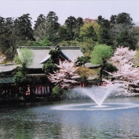 2005-04-09 井の頭公園 池と噴水と桜