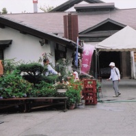 2004-08-04 松本市 亀田屋酒造店とおばあちゃん