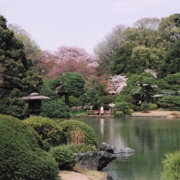 2005-03-27 新宿御苑の風景