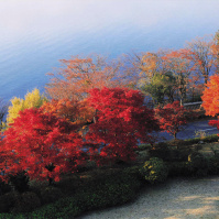 2001-11-21 箱根 芦ノ湖と紅葉