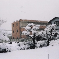 2012-02-20 花の家 庭に積もった雪（右）