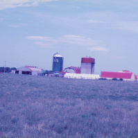 1994-08-05 北海道の酪農