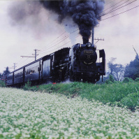 1995-09-01 蕎麦畑を走る秩父鉄道のSL