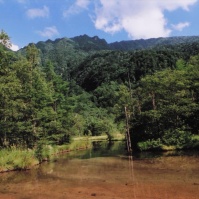 2004-08-04 上高地 田代池