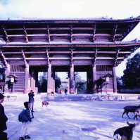 1994-01-06 東大寺南大門の前でCOTA