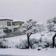 2012-02-20 花の家 庭に積もった雪（左）