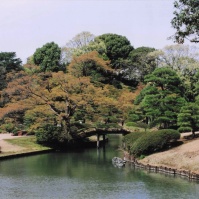 2005-03-27 六義園の池と橋