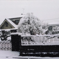 2012-02-20 花の家 積もった雪と母屋