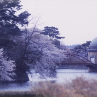 2007-05-03 狭山湖（山口貯水池） 取水塔と桜