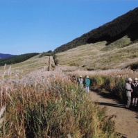 2004-08-08 箱根 仙石原 ススキと集まる人々