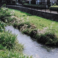 2003-10-10 東久留米市 黒目川