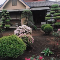 2011-07-03 花の家 玄関前の様子